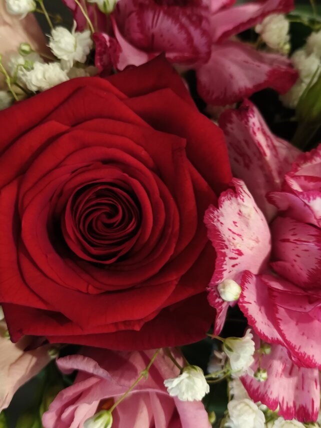 boeketrodebloemen.jpg